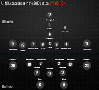 visit concussion watch