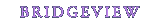 Bridgeview