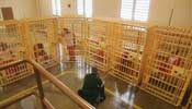 prisoners in therapy