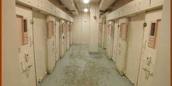photo of cells