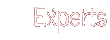 Experts Respond to The Caseworker Files