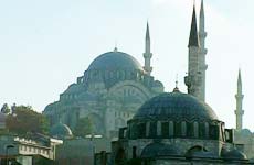 photo of turkey