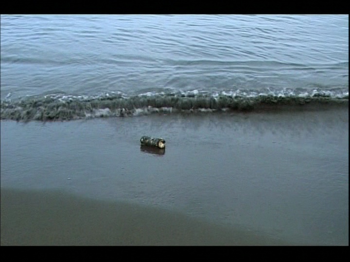 AKFiveDriftwood.jpg
