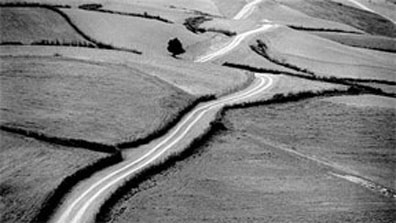 AKRoadsOfKiarostami.jpg