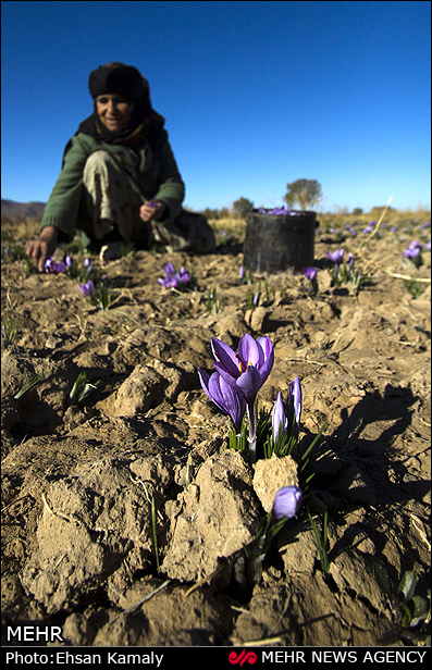 Birjand3.jpg