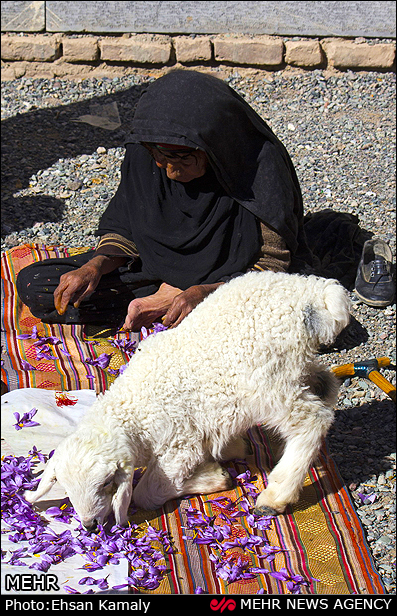 Birjand5.jpg