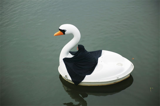 ParastouForouharTheSwanrider.jpg