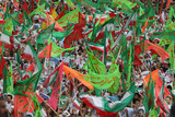 Finding Greens in Tehran 