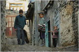 The Kurds and the Green Movement