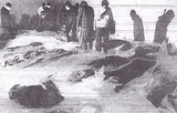 Remembering Iran Air Flight 655