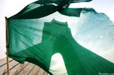 Iran Primer: The Green Movement