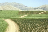 Photography: Down Persian Roads 