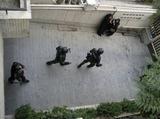 Patterns of Iran Human Rights Abuses 2010