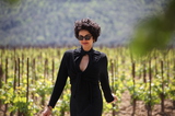 Spotlight: Kamin Mohammadi 
