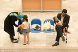 Study | Iranians Have Abortions, Too 