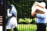 News | Report: Canada Shut Embassy Fearing US-Israeli Strike, Mob Retaliation