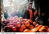 Dispatch | Yalda: The Evolution of an Iranian Tradition