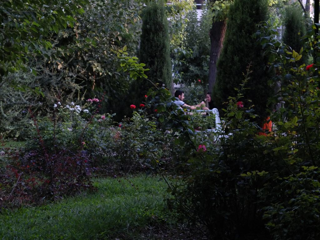 DSCF1605.jpg