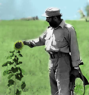 SHahid-CHamran.jpg