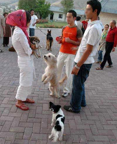 boysdog.jpg