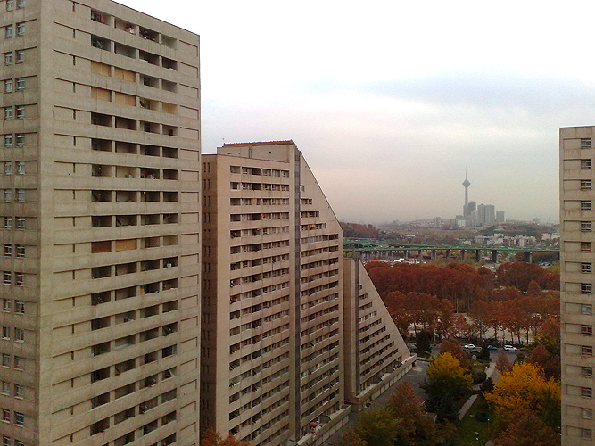 fall.jpg