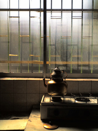 shomal2-tea